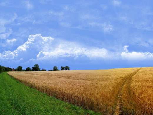 45230 (a): :1600x1200